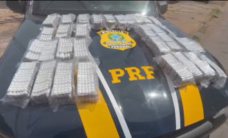 Comprimidos de anfetamina apreendidos pela PRF durante fiscalização na BR-010, em Natividade 