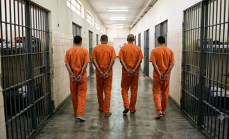 Homens tiveram prisão preventiva decretada após recurso do MPTO