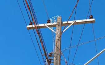 Quando uma pipa enrosca na fiação, há risco de choque elétrico e de interrupções no fornecimento de energia.
