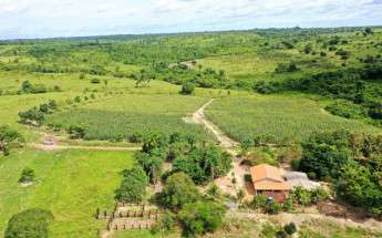       O atendimento aos agricultores familiares para inscrição no Floresta+ Amazônia será realizado nos dias 24, 25 e 26 de novembro, das 9h às 17h, no Sebrae Araguaína.