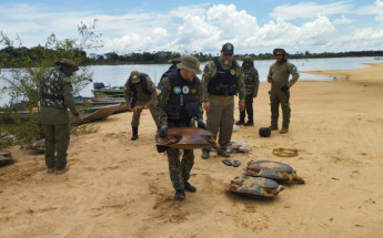 Naturatins intensificou ações de fiscalização e educação ambiental em diversas regiões do Estado.