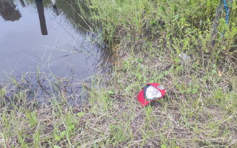 Idoso morreu após ataque de abelhas na zona rural de Araguaína