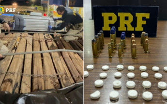 PRF apreende caminhão com madeira de espécie ameaçada, munições e rebite durante fiscalização na BR-153, em Araguaína 