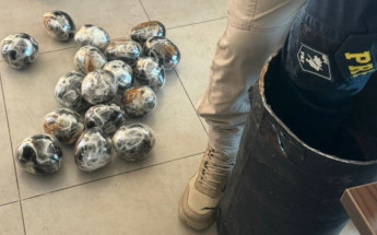 Cilindro de ferro com 18 kg de haxixe e 1 kg de maconha foi localizado pela PRF dentro de mala no compartimento de bagagens do ônibus 