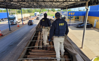 PRF apreendeu carga de madeira nativa irregular durante fiscalização na BR-153, em Araguaína.