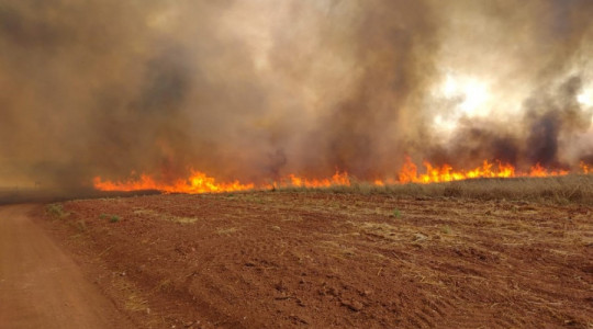 Desde 20 de julho, todas as autorizações ambientais para queima controlada no Tocantins estão proibidas