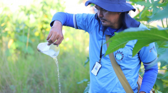 A doença é transmitida pelo mosquito Aedes aegypti, por isso outra importante medida de prevenção é elimiar os focos com água acumulada.