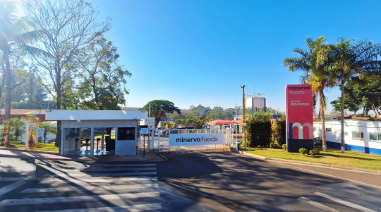 Estudantes podem se inscrever para o Programa de Estágio 2025 da Minerva Foods em sete municípios brasileiros