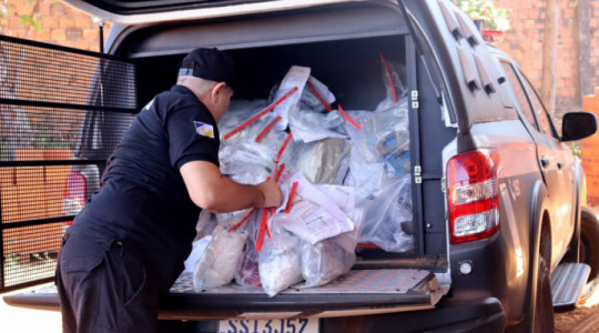 Polícia Civil do Tocantins incinera aproximadamente 200 kg de entorpecente em Palmas 