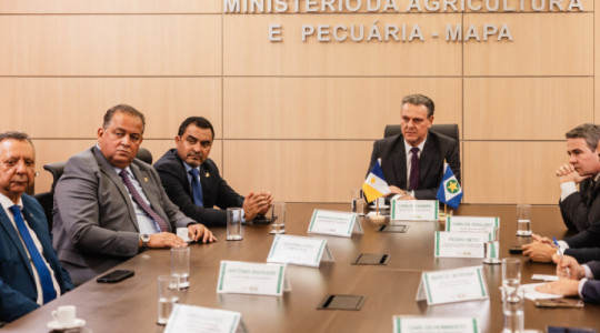 Governador Wanderlei Barbosa esteve acompanhado de equipe tocantinense durante encontro com o ministro Carlos Fávaro, em Brasília 