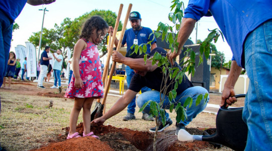 Plantio de mudas marcou a abertura do Projeto Praça Verde no Setor Santa Terezinha.