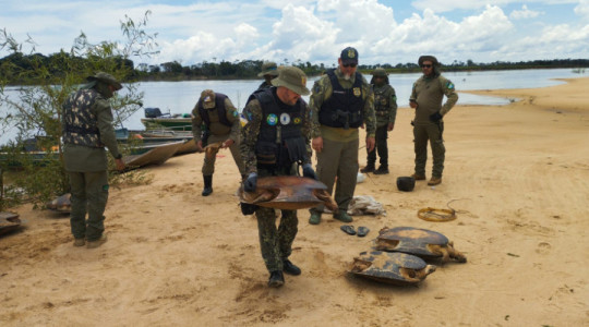 Naturatins intensificou ações de fiscalização e educação ambiental em diversas regiões do Estado.