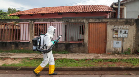 Entre os dias 12 e 19 de fevereiro, o bloqueio químico com UBV registrou 19 imóveis notificados, 58 quarteirões trabalhados e 1.320 imóveis borrifados.