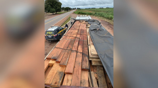 rante a fiscalização, os policiais constataram inconsistências na documentação ambiental apresentada.
