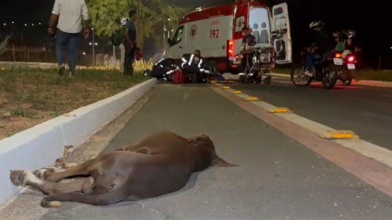 Cachorro morreu no local; equipes do Samu prestaram socorro às vítimas do acidente na Via Norte, em Araguaína.