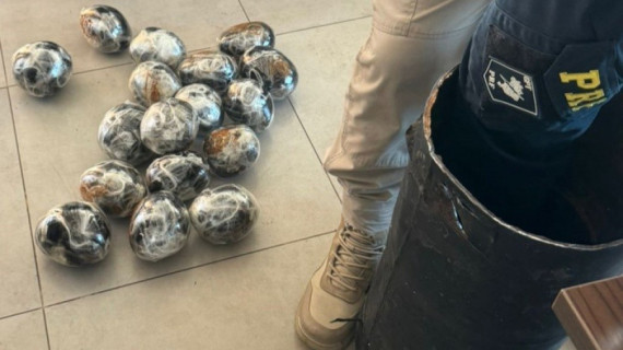 Cilindro de ferro com 18 kg de haxixe e 1 kg de maconha foi localizado pela PRF dentro de mala no compartimento de bagagens do ônibus 