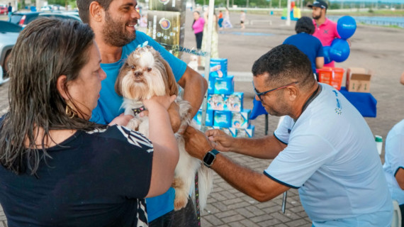 Campanha de vacinação antirrábica em Araguaína tem início nesta semana; meta é vacinar aproximadamente 33 mil animais