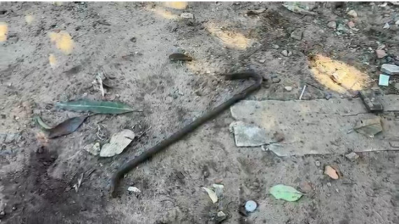 Barra de ferro do tipo pé de cabra usada no ataque. 