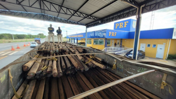 Madeira nativa e comprimidos de anfetamina foram apreendidos durante fiscalização da PRF na BR-153, em Araguaína.