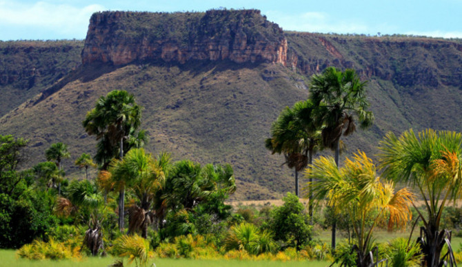 Tocantins lidera o crescimento em sustentabilidade ambiental no país entre 2023 e 2025, segundo o Ranking de Competitividade dos Estados, resultado de políticas públicas integradas, modernização da gestão e ações voltadas à preservação dos biomas Cerrado 