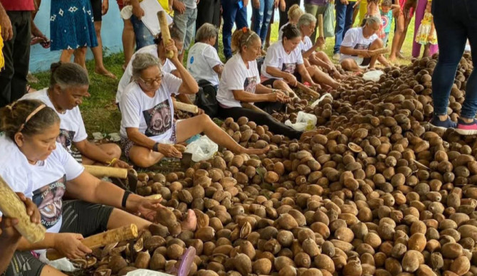  Comunidades extrativistas da região do Bico do Papagaio mantêm viva a tradição da quebra do coco babaçu, atividade que gera renda, fortalece a economia local e contribui para a preservação ambiental 