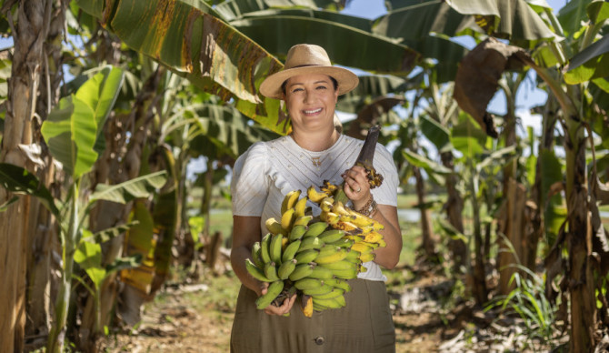 Relatório do Sebrae evidencia a diversidade produtiva do Tocantins como fruticultura familiar em diferentes regionais
