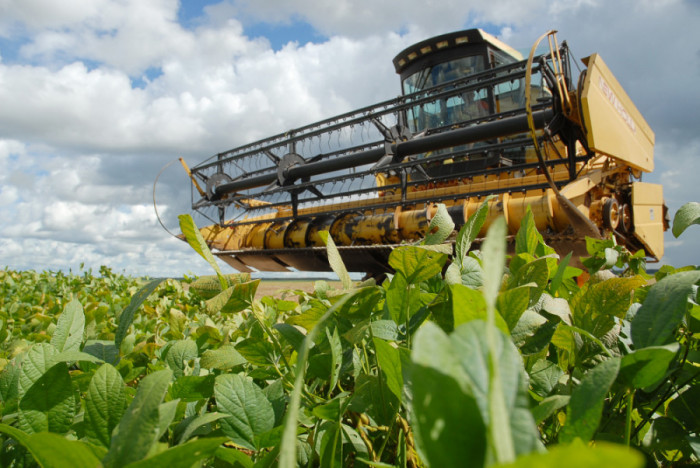 Conab estima que o Tocantins produza mais de 3,5 milhões/ton de soja na safra 2019/2020. Foto: Divulgação/Seagro