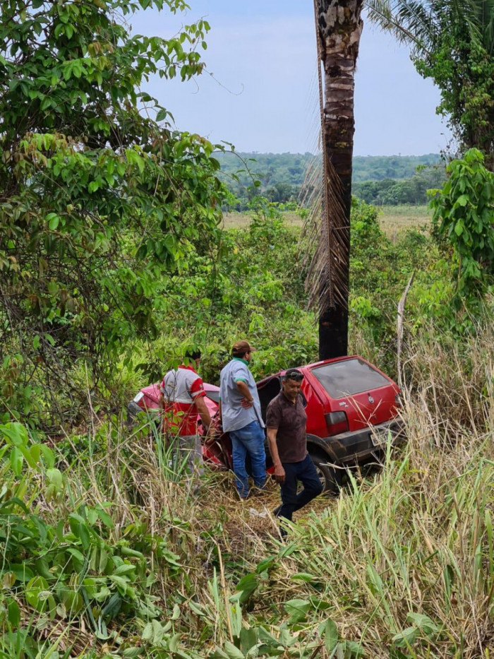 Motorista perdeu controle da direção e veículo colidiu contra palmeira. Foto: Divulgação