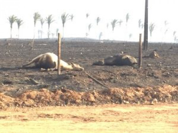 Incêndio destrói carreta em estacionamento de fazenda em Cariri do