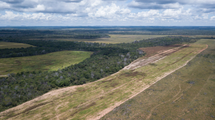 A Gleba do Tauá possui um território de quase 18 mil hectares. Foto: Tomas Bauer/CPT