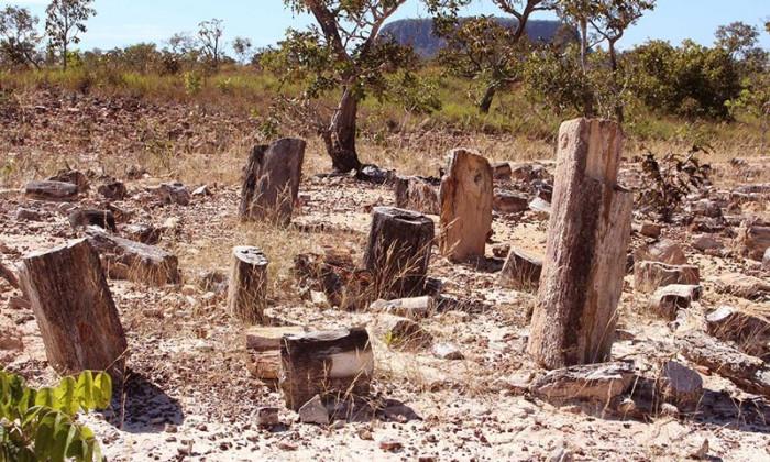 Monumento Natural das Árvores Fossilizadas do Tocantins. Gov. TO
