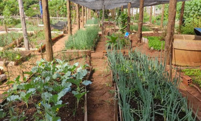 Projeto já está em andamento no Setor Araguaína Sul.  Foto: Divulgação