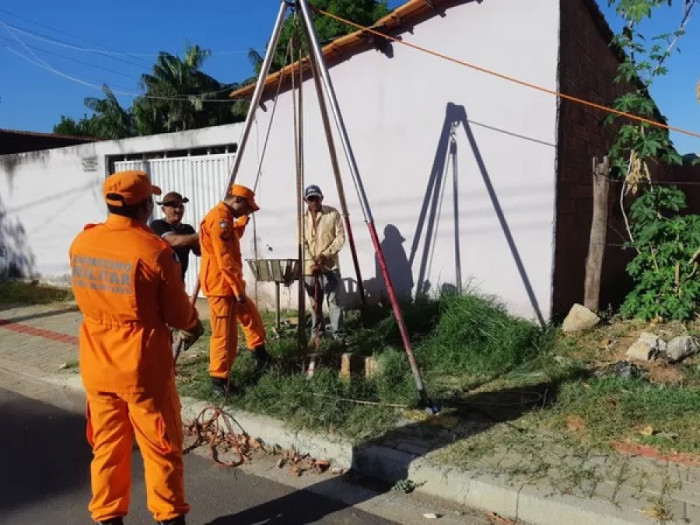 Momento do resgate do animal. Foto: Divulgação/Bombeiros