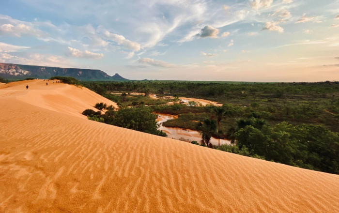 Jornalistas puderam conhecer as dunas e as aventuras que o Parque Estadual do Jalapão oferece.