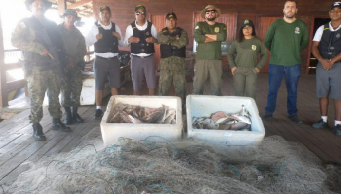 Pescado e redes apreendidas em ação conjunta. Foto; Divulgação/Naturatins
