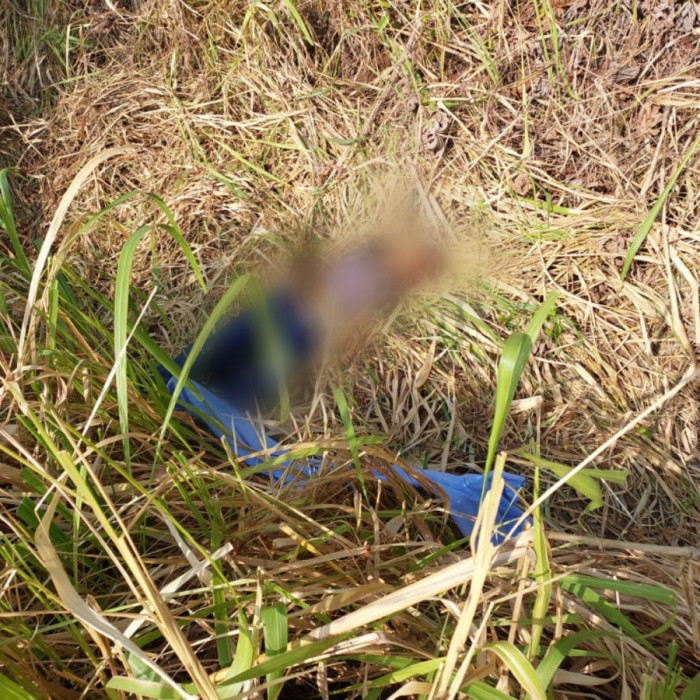 Corpo da vítima foi encontrado em matagal às margens da pista. Foto: Divulgação. 