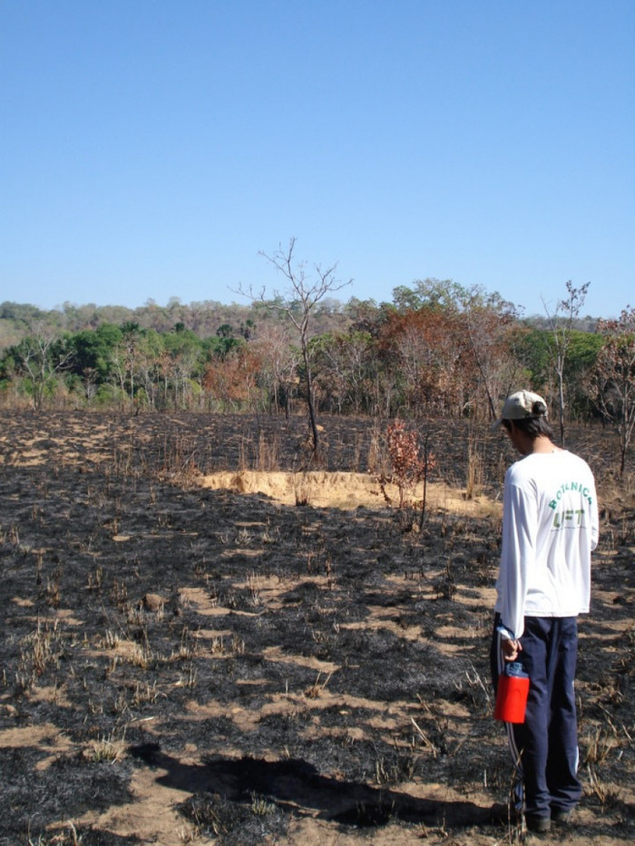 O desmatamento da zona ripária e a poluição são intervenções negativas que afetam os ecossistemas.