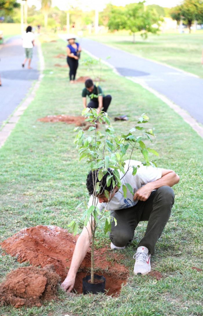 No site da prefeitura, na aba Cidadão, a comunidade encontrará orientações sobre como plantar, quais tipos de plantas, onde obter sementes ou mudas