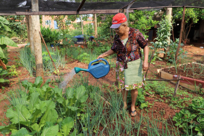 Rosilda é uma das pioneiras do projeto. No local ela cultiva, vende e também consegue ajudar famílias carentes.