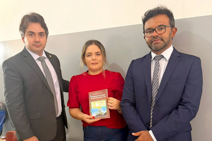 Livro teve o apoio do MPTO, Poder Judiciário e Governo do Estado.