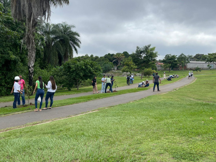 As mudas foram plantadas acompanhando o trajeto das pistas de caminhada do Parque Cimba para que, no futuro, elas formem corredores de árvores que proporcionem mais sombra e uma paisagem mais bela para os frequentadores.
