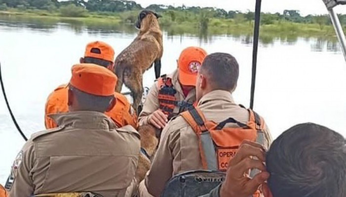 Travessia do Rio Araguaia, cadela Skay na proa, estão indo para o local onde ela teve comportamento diferente.