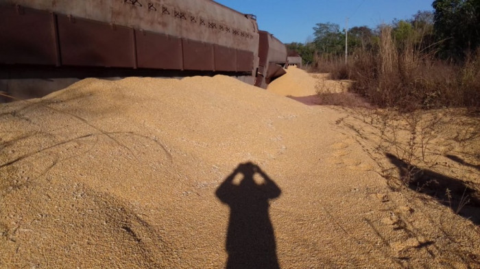 Carga de milho que estava nos vagões ficou às margens da ferrovia. 