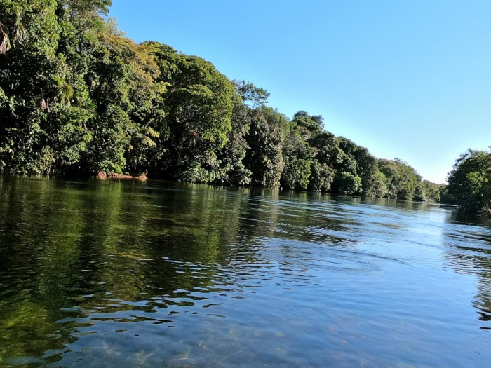 Expedição de biólogos percorre Rio Novo no Jalapão.