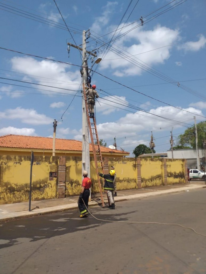 Vítima foi encontrada pendura de ponta-cabeça.